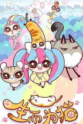 婚纱摄影网站优化技巧